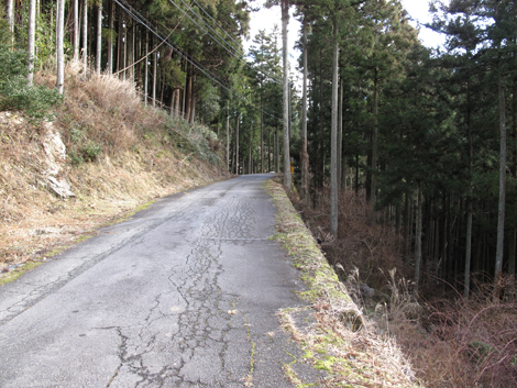 20140105hike (246)